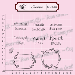 2 Tampons cadres 6 mots et 1 papillon - Tampon silicone clear