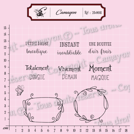 2 Tampons cadres 6 mots et 1 papillon - Tampon silicone clear