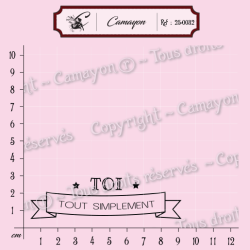 1 Tampon bannière 8 mots - tout simplement toi - Tampon silicone clear