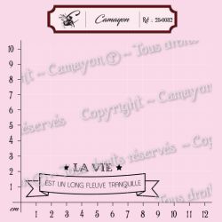 1 Tampon bannière 8 mots - tout simplement toi - Tampon silicone clear