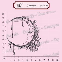 Tampon lune - Tampon silicone clear