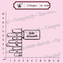 1 Tampon mur, panneau et 6 mots - belle découverte - Tampon silicone clear