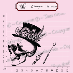 Tampon grunge steampunk tête de mort skull 1 - Tampon silicone clear