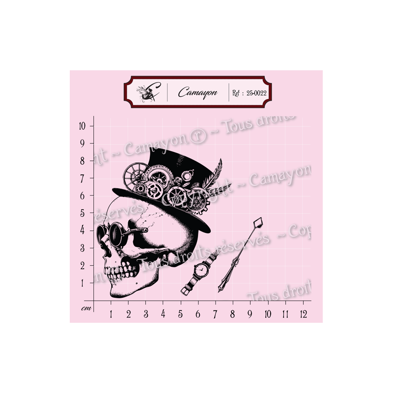 Tampon grunge steampunk tête de mort skull 1 - Tampon silicone clear