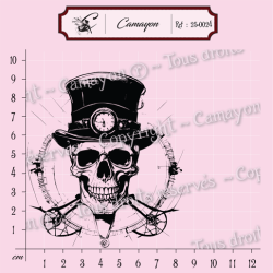 Tampon grunge steampunk tête de mort skull 2 - Tampon silicone clear