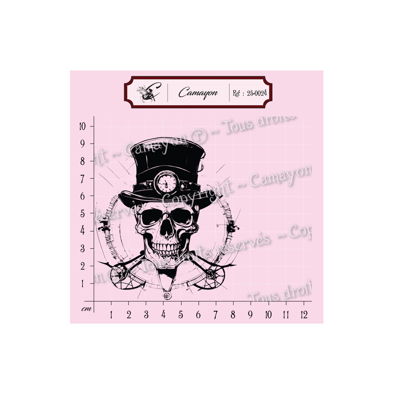 Tampon grunge steampunk tête de mort skull 2 - Tampon silicone clear