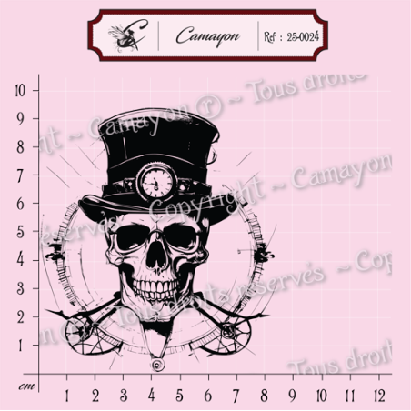 Tampon grunge steampunk tête de mort skull 2 - Tampon silicone clear