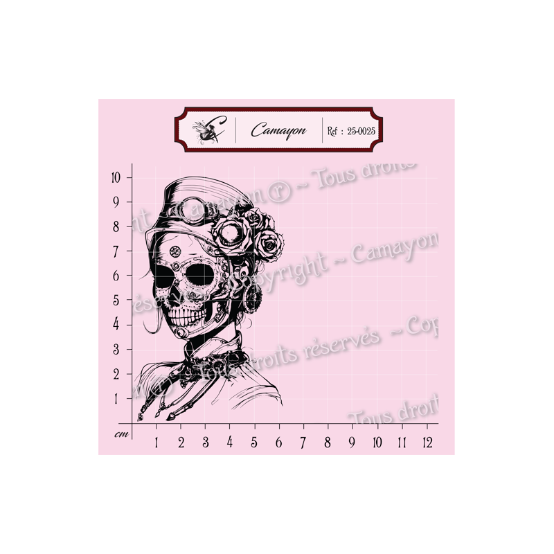 Tampon grunge steampunk tête de mort skull 3 femme au chapeau - Tampon silicone clear